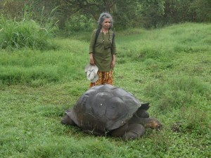 My new friend Latha admires a giant tortoise in the Santa Cruz highlands.