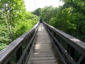 To get to my bungalow, I had to cross the suspension bridge.