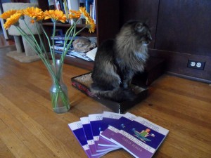 My books look even better posing with my cat.
