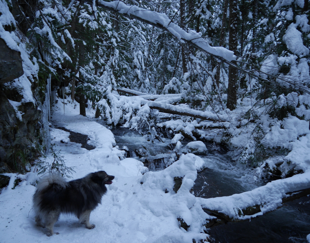 Mount Hood New Year 2015