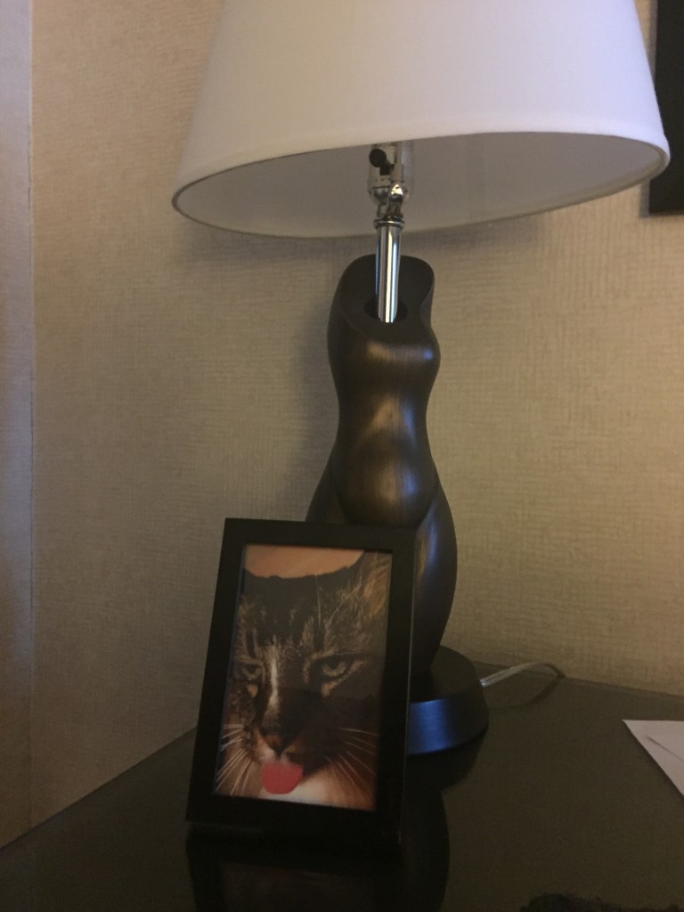 They framed this picture of my cat to make me feel more at home.