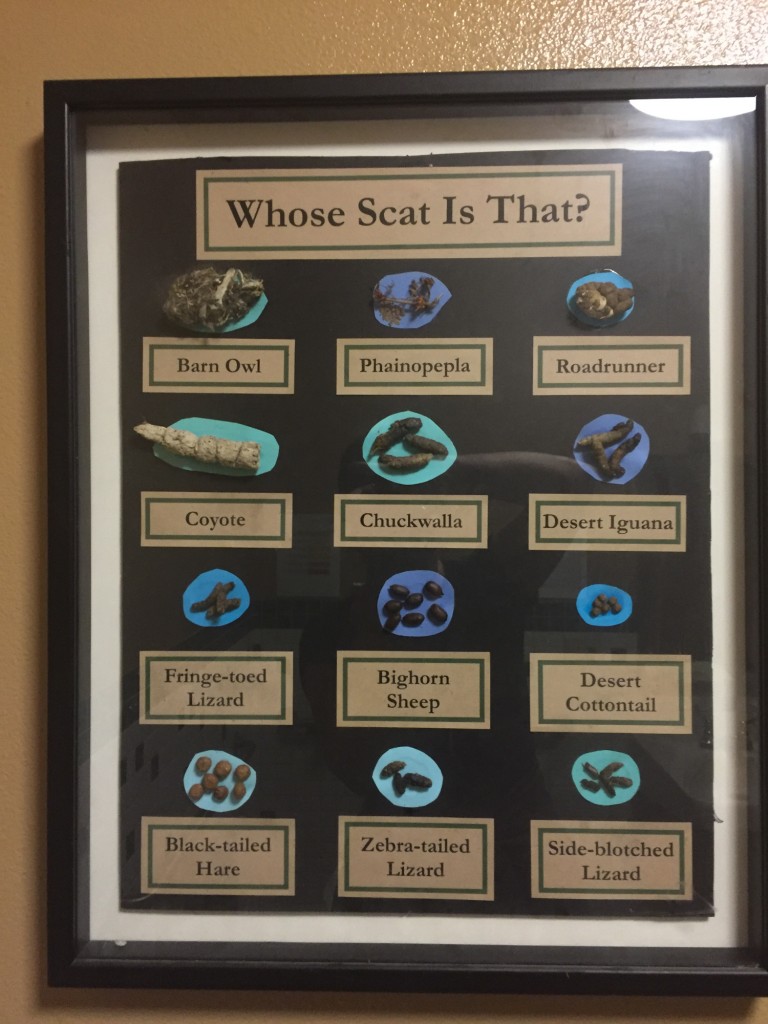 Just in case you were wondering, this handy chart is in the restroom.