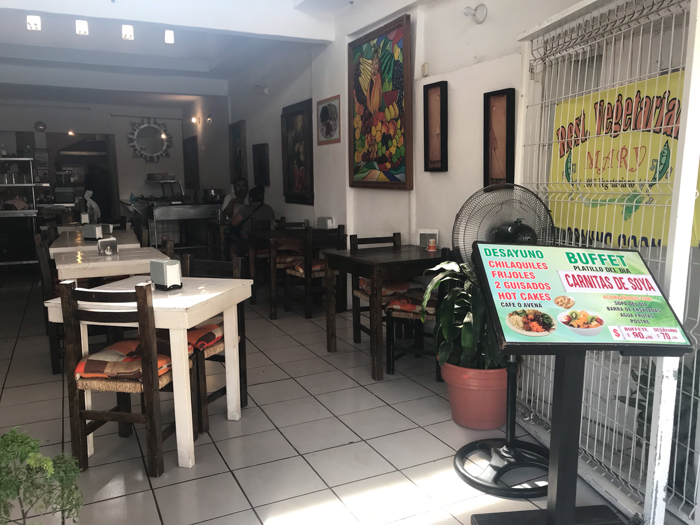 vegan Puerto Vallarta