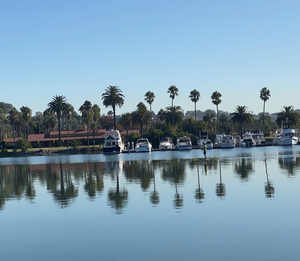 A guy on a SUP cruises along by boats and palm trees on still water.