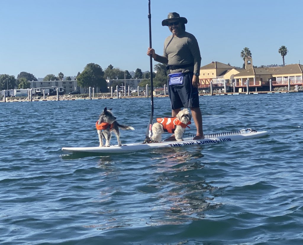 A SUP with a man and two small dogs on it.
