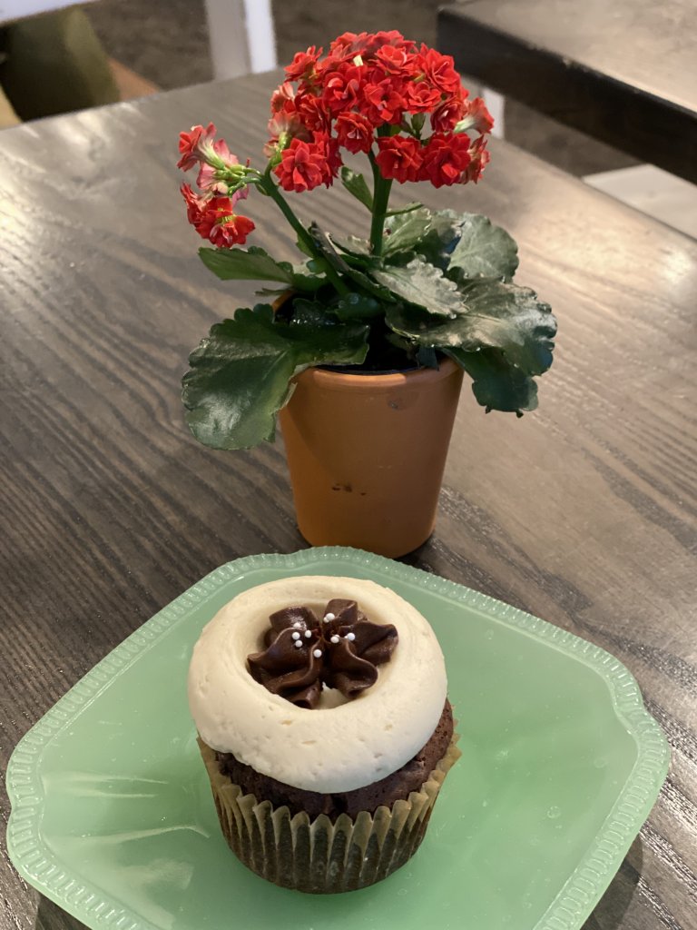 Chocolate cupcake with red geranium