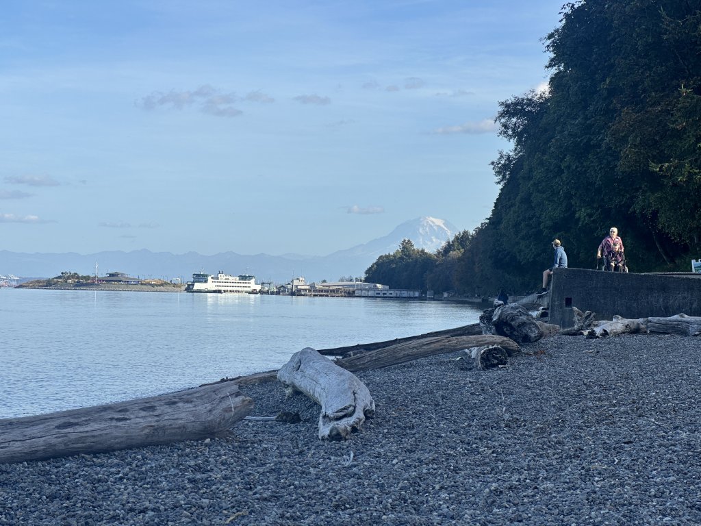 a shoreline with ferry in distance and Mount Rainier