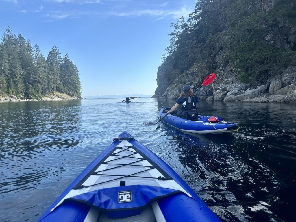 View from a kayak in Desolation Sound. Water, trees, islands.