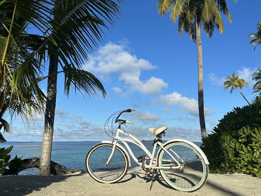 white cruiser bike and palm trees in front of a beach.